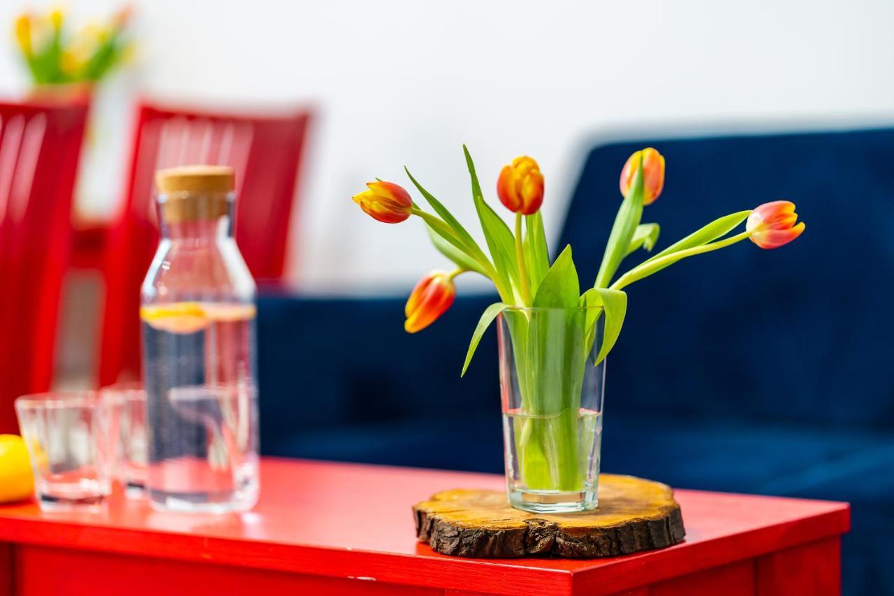 Apartament Poludniowy Ruda Slaska Kültér fotó